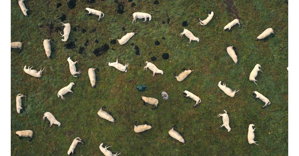 Wenn-ihr-Stranger-Things-liebt-solltet-ihr-unbedingt-einen-Blick-auf-dieses-Netflix-Meisterwerk-mit-einem-95-Rotten-Tomatoes-Score-und-3-Staffeln-werfen