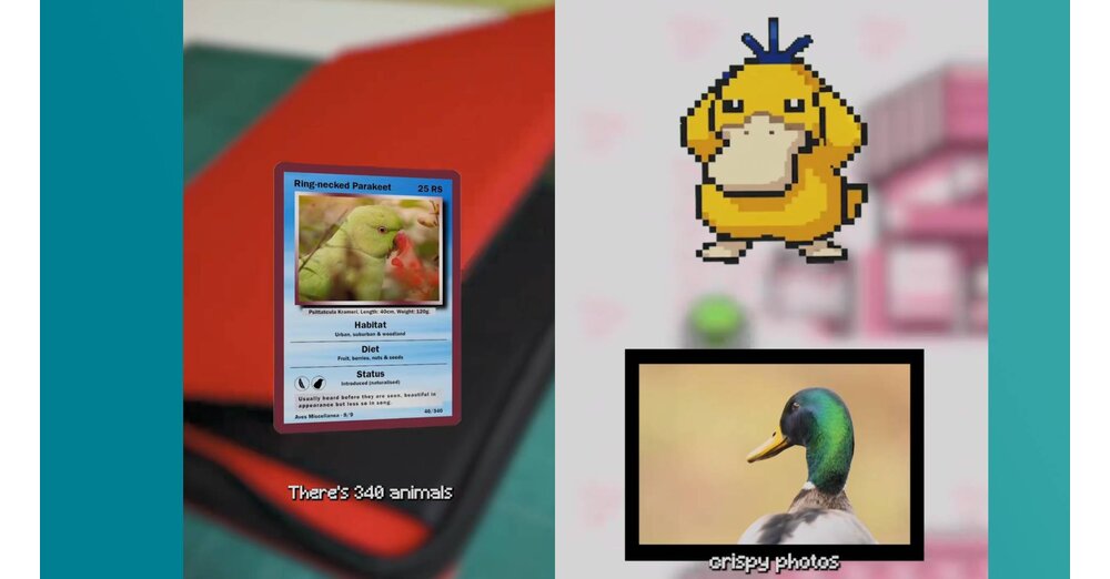 Pok-mon-Fan-erstellt-Pok-dex-mit-echten-Tieren-die-er-bei-sich-im-Wald-beobachtet-und-diese-coole-Challenge-wollen-wir-direkt-nachmachen