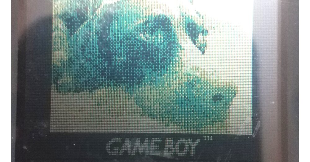 Nintendo-Papa-zeigt-seinem-3-j-hrigen-Kind-seinen-Game-Boy-Color-entdeckt-dort-zuf-llig-Foto-von-seinem-Hund-aus-1999