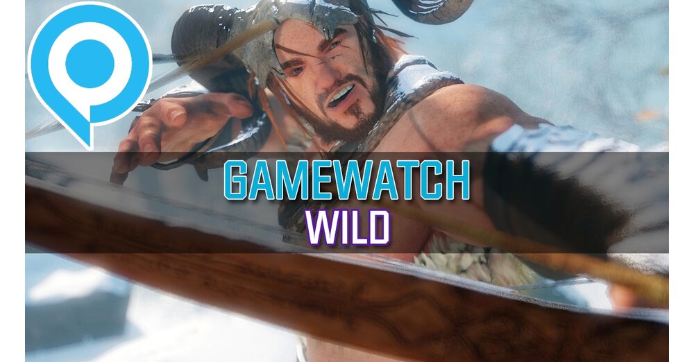 GameWatch：Wild-Video分析：這款瘋狂遊戲背後是什麼？