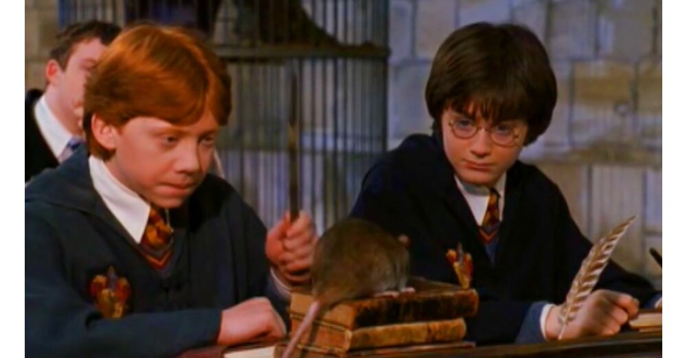 Hogwarts-Legacy-Die-Vorfahrin-von-Ron-Weasley-bringt-euch-einen-Zauber-bei-den-er-sp-ter-in-Die-Kammer-des-Schreckens-vermasselt