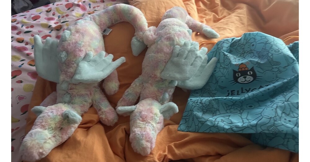 Jellycat-Gl-ckspilz-ergattert-den-beliebten-Pl-schdrachen-der-st-ndig-ausverkauft-ist-und-bekommt-versehentlich-gleich-zwei-zugeschickt