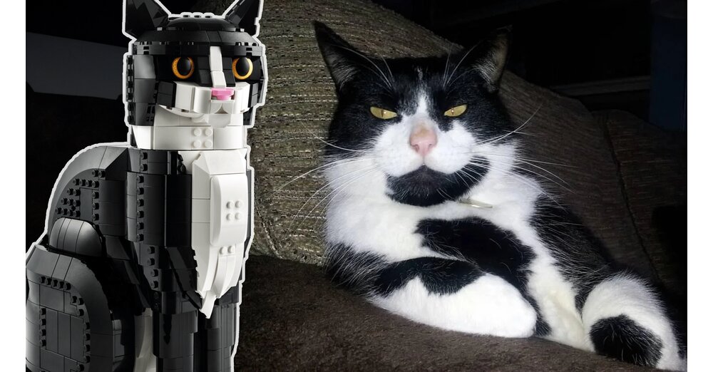 LEGO-Fan-muss-sein-Katzen-Set-umbauen-weil-seine-echte-Katze-es-hasst-und-das-Ergebnis-sieht-gro-artig-aus