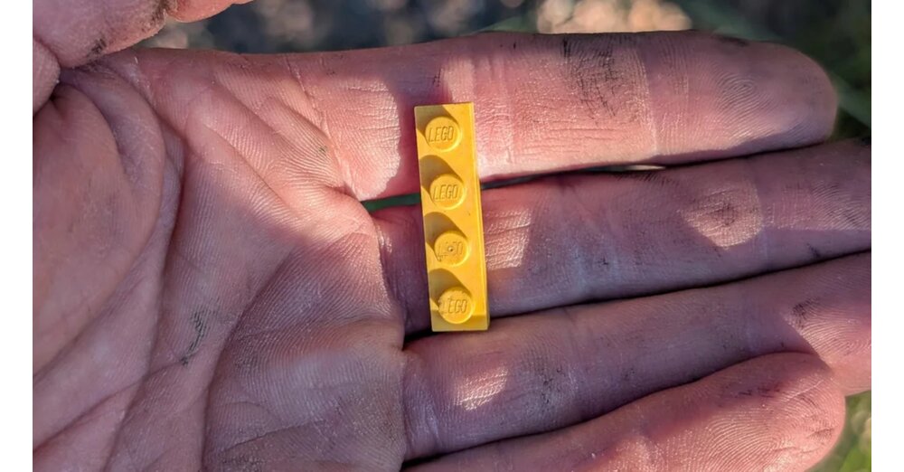 Tierliebhaber-f-ttert-Kr-hen-in-seinem-Garten-und-bekommt-zum-Dank-von-ihnen-einen-LEGO-Stein-ein-Nerf-Geschoss-und-einen-Zahnstocher