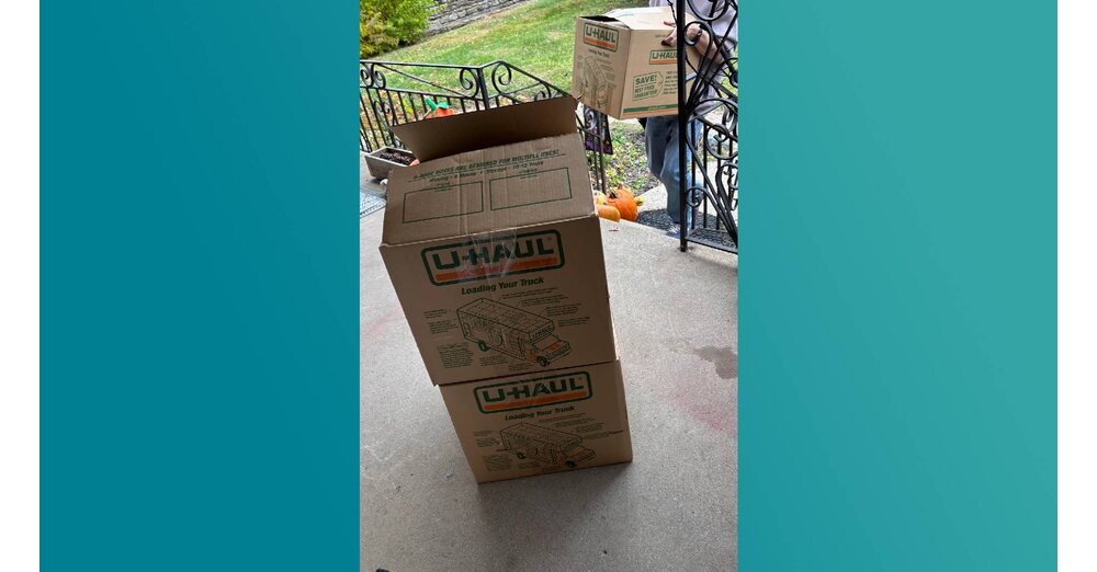 Krasser-LEGO-Haul-Elternteil-will-Film-Sets-f-r-Kind-kaufen-und-entdeckt-Karton-mit-echten-Sch-tzen