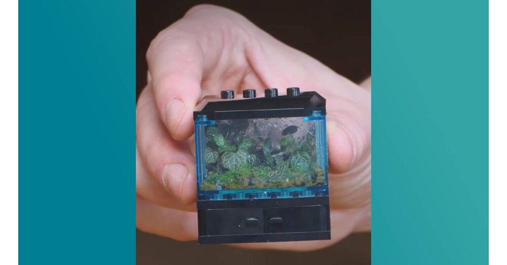 LEGO-Fan-baut-winzige-Terrarien-aus-Klemmbausteinen-und-echten-Pflanzen-und-zeigt-wie-gut-sie-nach-einem-Jahr-noch-aussehen