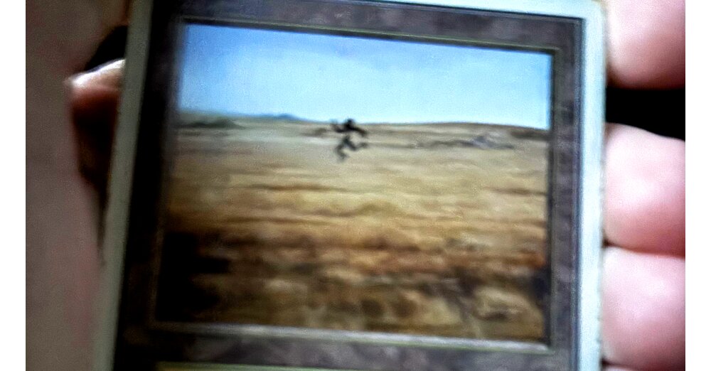 Magic-The-Gathering-Fan-findet-seltene-Karte-die-ber-300-Dollar-wert-sein-kann-aber-der-Vater-seines-Kumpels-hat-ein-Strichm-nnchen-draufgekritzelt-als-er-12-war