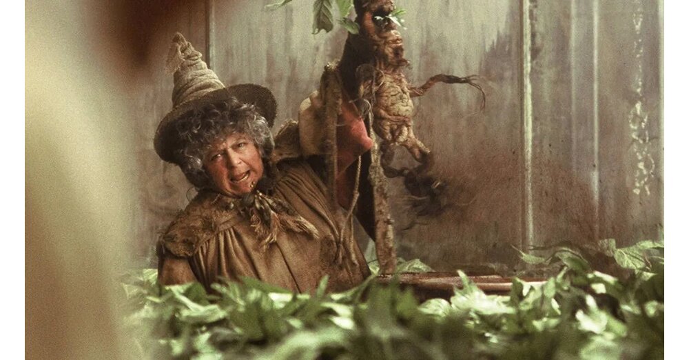 -Endlose-Jagd-nach-Geld-Harry-Potter-Star-kann-der-neuen-HBO-Serie-so-gar-nichts-abgewinnen