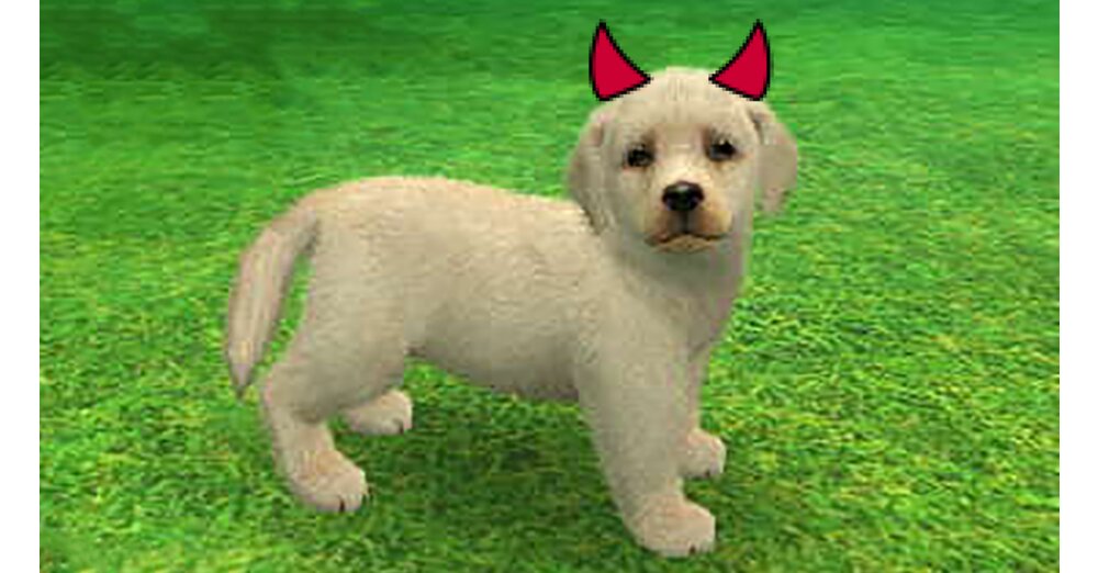 Nintendogs-Speedrun被一隻惡魔的小狗破壞了