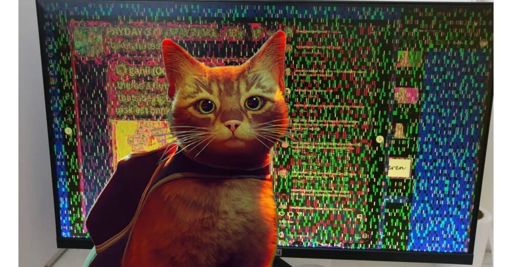 PC-Spieler-macht-Nickerchen-Katze-kommt-rein-und-pullert-auf-die-GPU-Tage-sp-ter-st-rzt-PC-am-laufenden-Band-komplett-ab