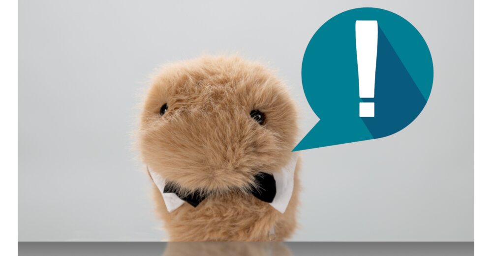 in-deutschland-er-ffnet-ein-elektronischer-streichelzoo-kinder-d-rfen-mit-ki-getriebenen-robo-meerschweinchen-kuscheln