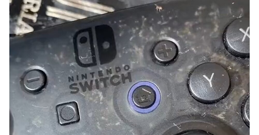 Switch-Spieler-zeigt-Pro-Controller-in-dem-sich-massenhaft-kleine-Tierchen-eingenistet-haben-und-eine-wilde-Party-feiern-uns-wird-ein-bisschen-schlecht