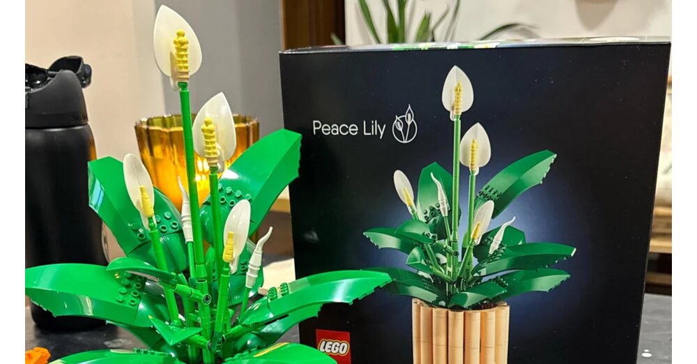 LEGO-Sammler-hat-unfassbares-Gl-ck-Supermarkt-verkauft-ihm-neues-Blumen-Set-das-eigentlich-erst-im-Januar-2026-erscheint