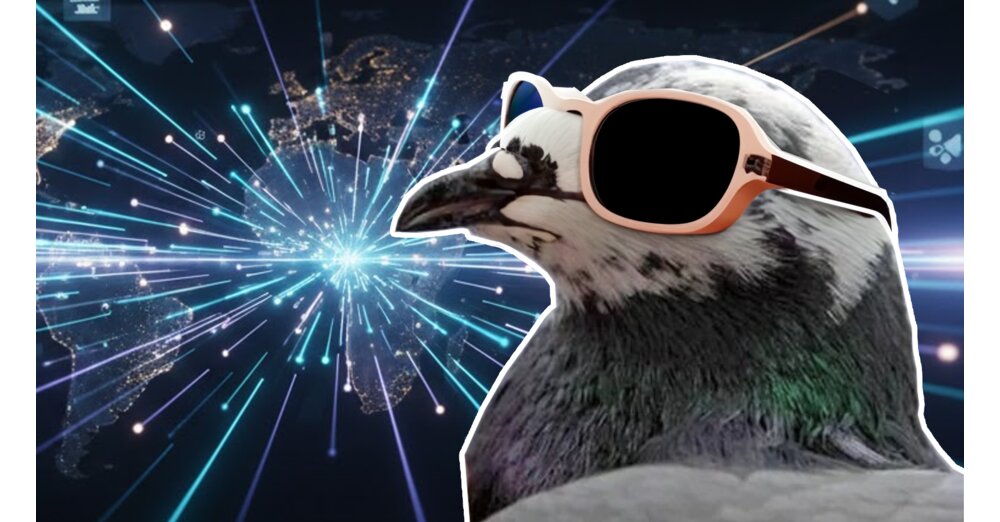 2009-waren-Angestellte-sauer-ber-das-lahme-Internet-in-ihrer-Firma-und-sagten-Selbst-eine-Brieftaube-w-re-schneller-ihr-Chef-wollte-es-testen-und-am-Ende-gewann-tats-chlich-der-Vogel