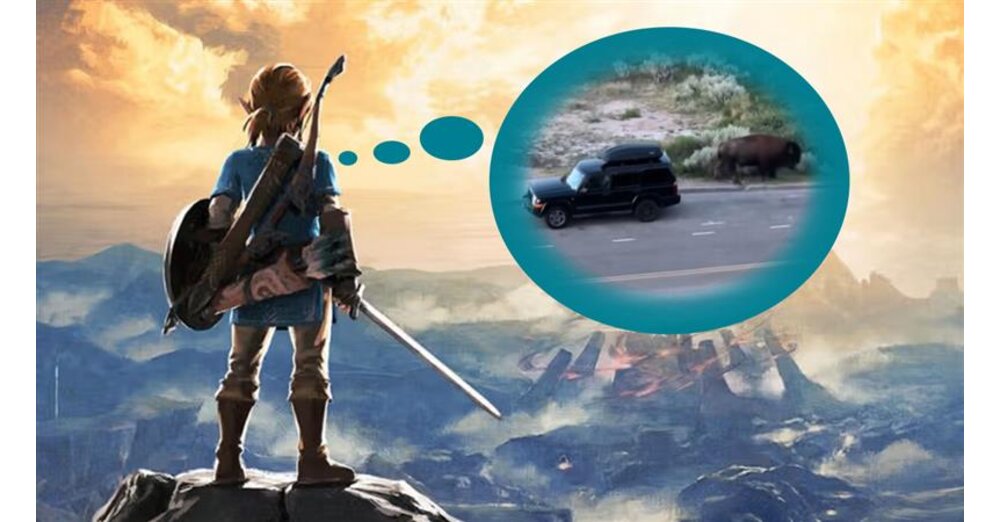 Gamer-m-chte-Zelda-auf-der-Spitze-eines-Berges-spielen-w-hrenddessen-wird-sein-Auto-von-einem-Bison-angegriffen