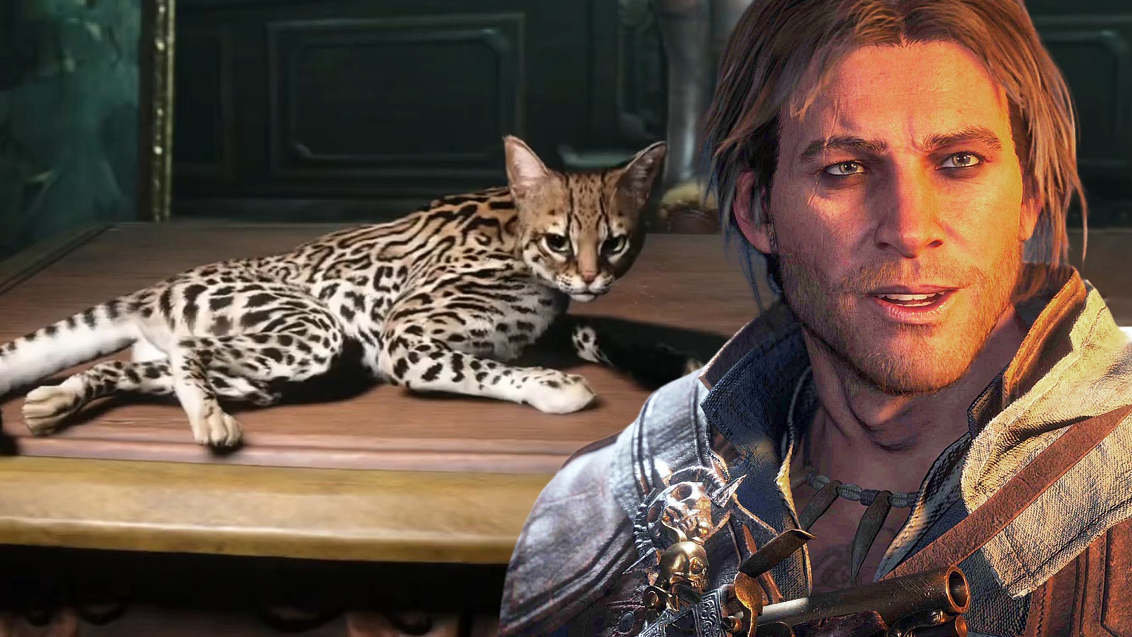 Neue Twitch Drops für Assassin's Creed Black Flag Resynced: So schnappt ihr euch eine Cheetah-Katze und ein neues Schwert