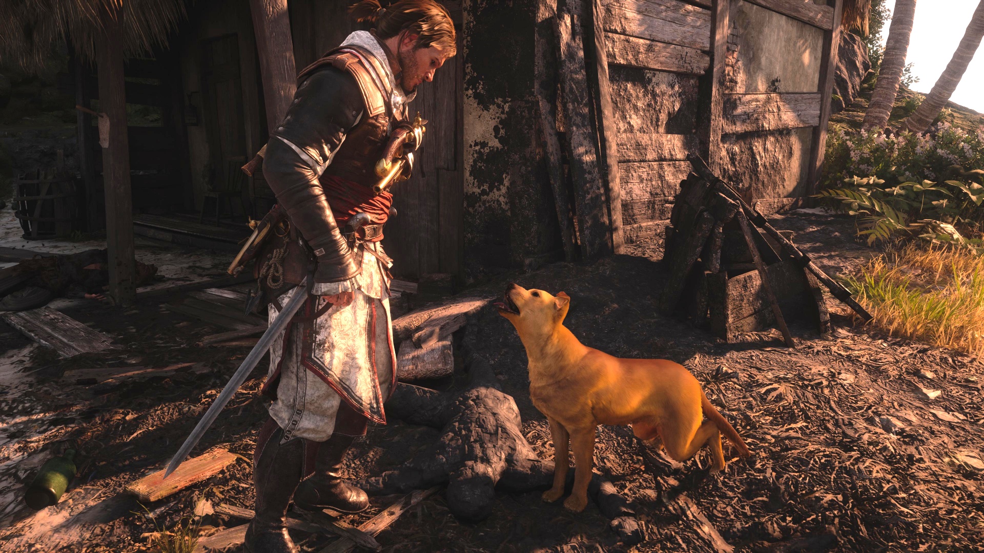 Ich will ihn adoptieren! In AC Black Flag gibt es einen einsamen, gestrandeten Hund, der mir einfach nur leidtut