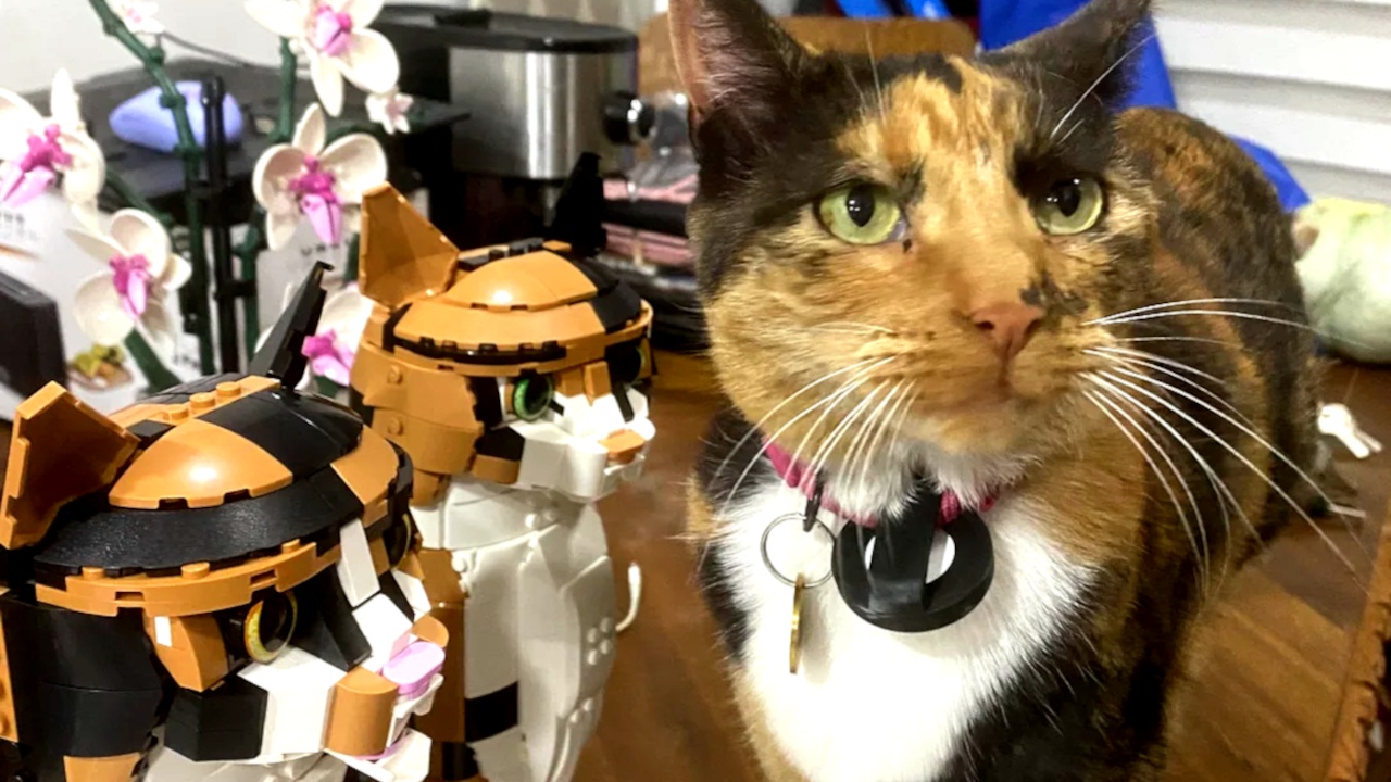 Ein LEGO-Sammler und seine Freundin bestellen sich zwei unterschiedliche Katzen-Sets - und bauen daraus die ultimative Glückskatze