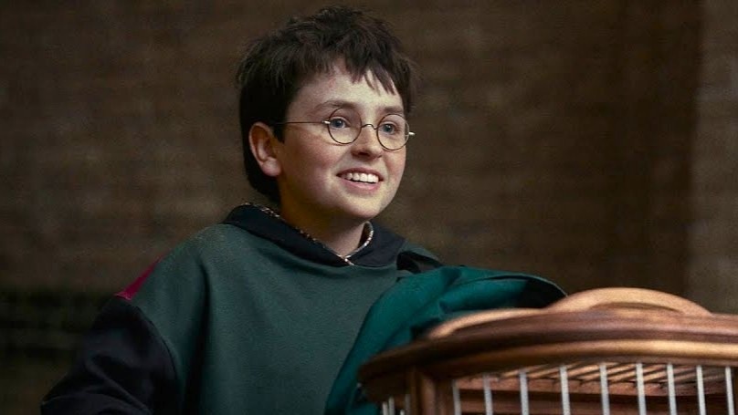Neuer Harry Potter-Schauspieler möchte in Zukunft am liebsten den großen Bösewicht der Reihe spielen - falls es in 40 Jahren noch mal ein Reboot geben sollte
