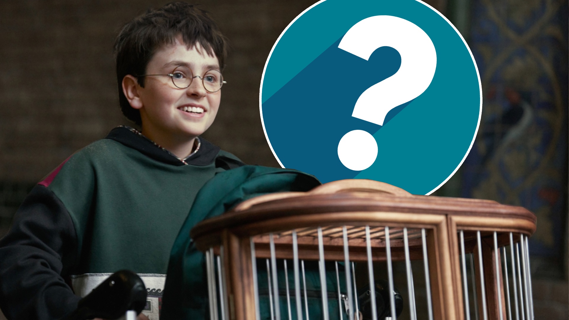 "Ich liebe wie Hogwarts aussieht!" - Der erste Harry Potter-Trailer ist da und das sagt die Community zur Neuauflage