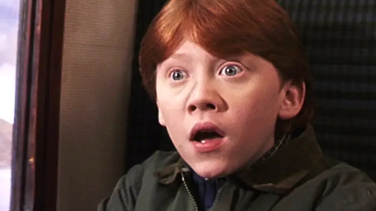 Katrina entdeckt Harry Potter-Buch wieder, das vor knapp 30 Jahren 5 Euro wert war - und verkauft es für 20.000 Euro bei einer Auktion