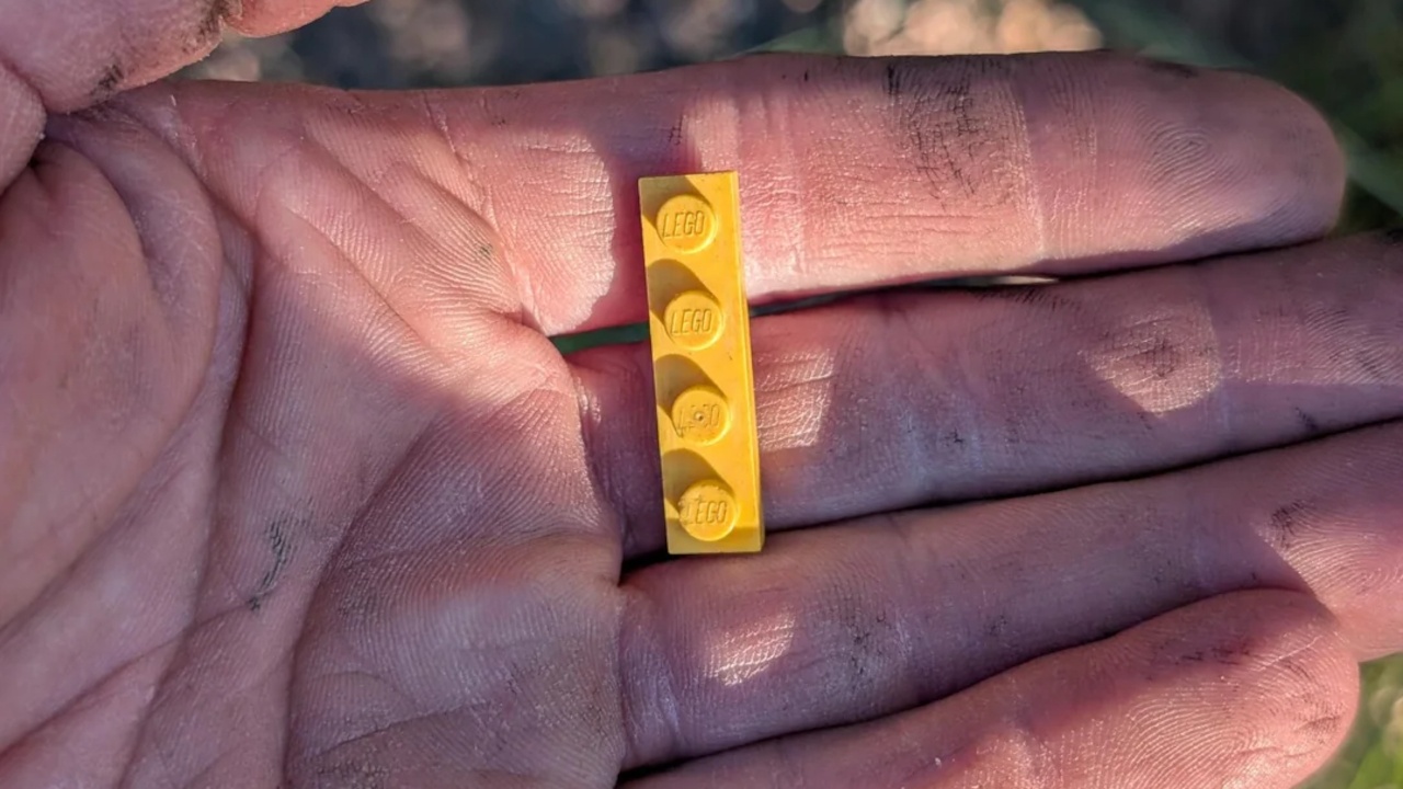 Tierliebhaber füttert Krähen in seinem Garten und bekommt zum Dank von ihnen einen LEGO-Stein, ein Nerf-Geschoss und einen Zahnstocher