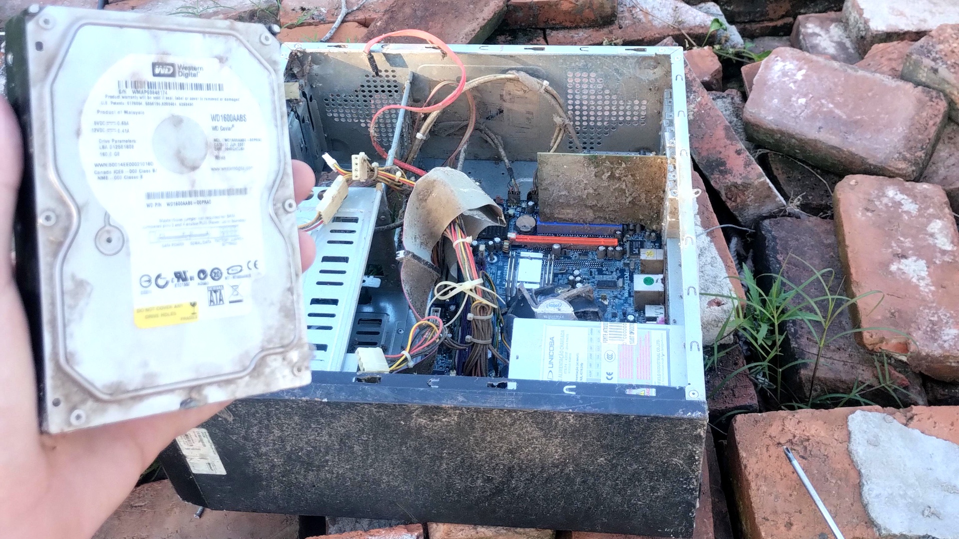 "Vergiss nicht den RAM!" PC-Spieler findet alten, verdreckten PC im Wald - nimmt direkt Festplatte und Arbeitsspeicher mit