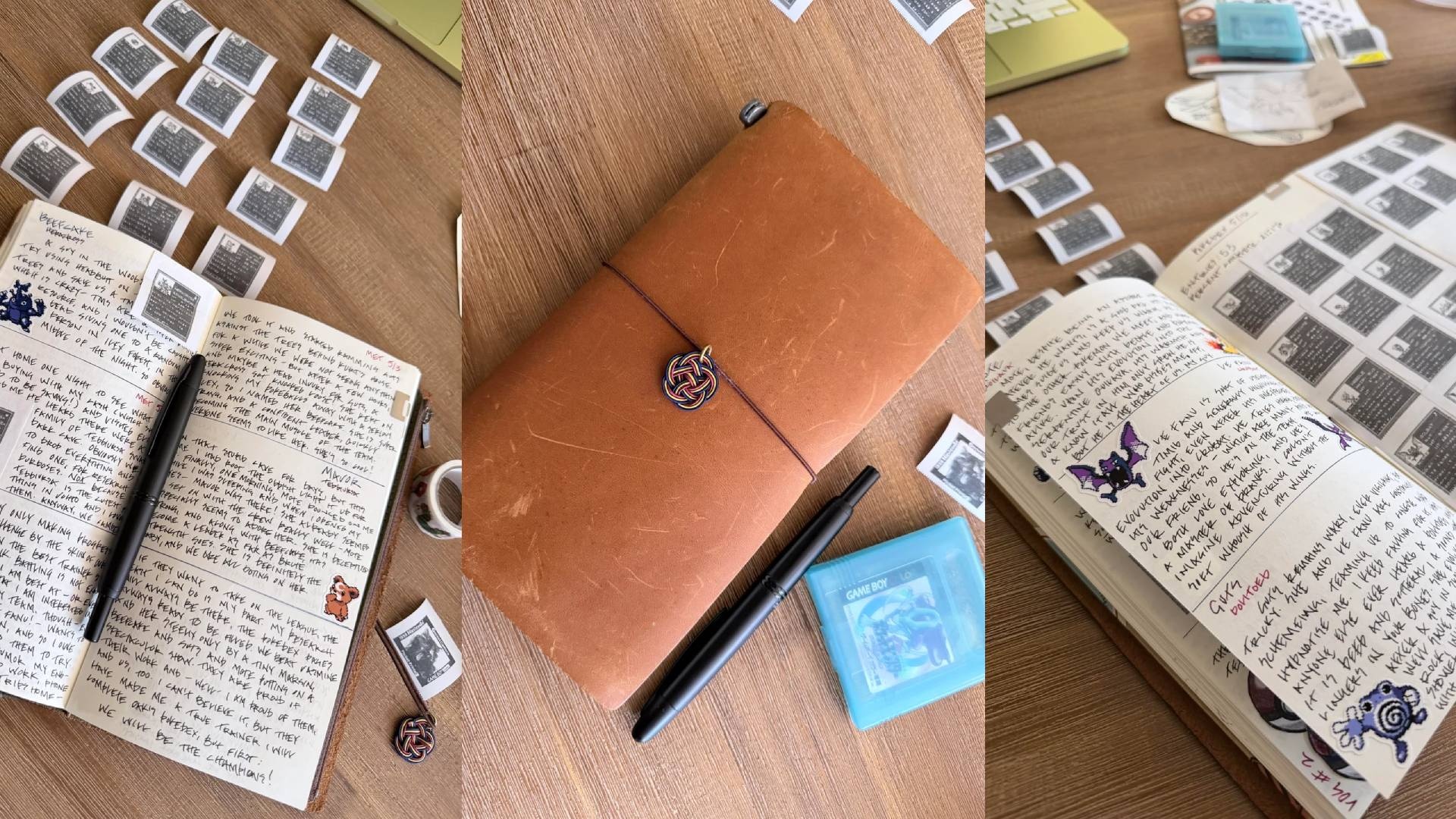 Pokémon-Fan nutzt den Game Boy-Drucker, um sein Abenteuer in einem Tagebuch festzuhalten – "Ich fühle mich meinem Team viel stärker verbunden