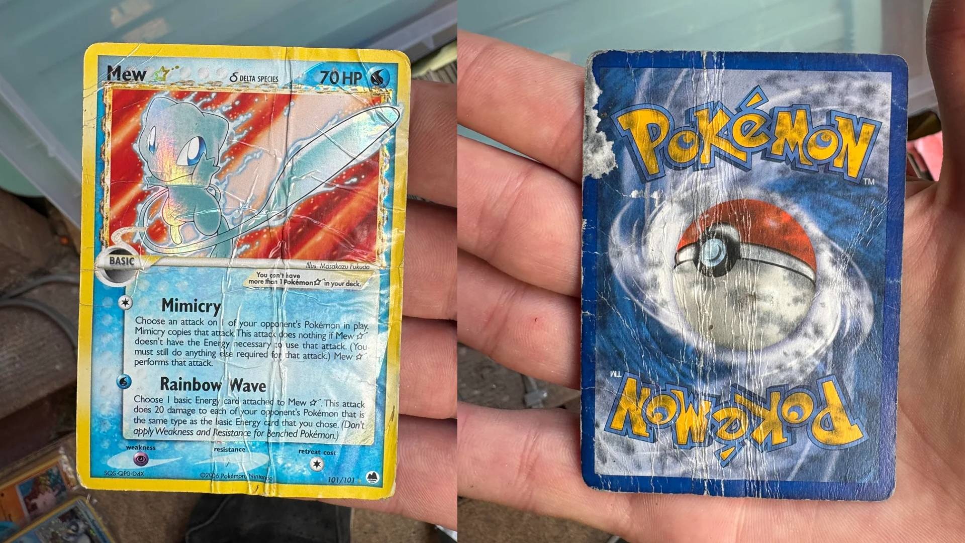 Pokémon TCG-Fan findet alte Mew-Karte bei seinem Vater - Im perfekten Zustand ist sie 2000 Euro wert, doch sein Fund ist schimmelig und kaputt