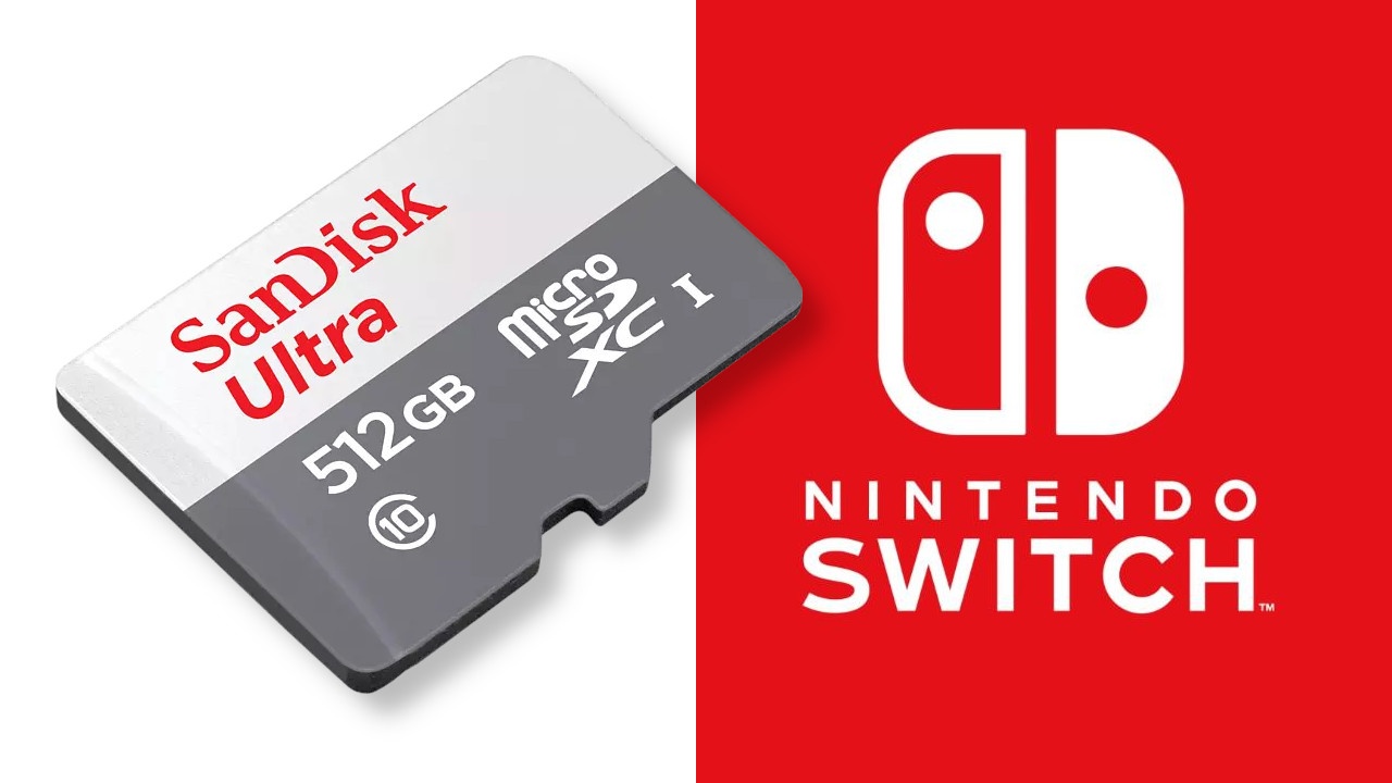 Nintendo switch sd