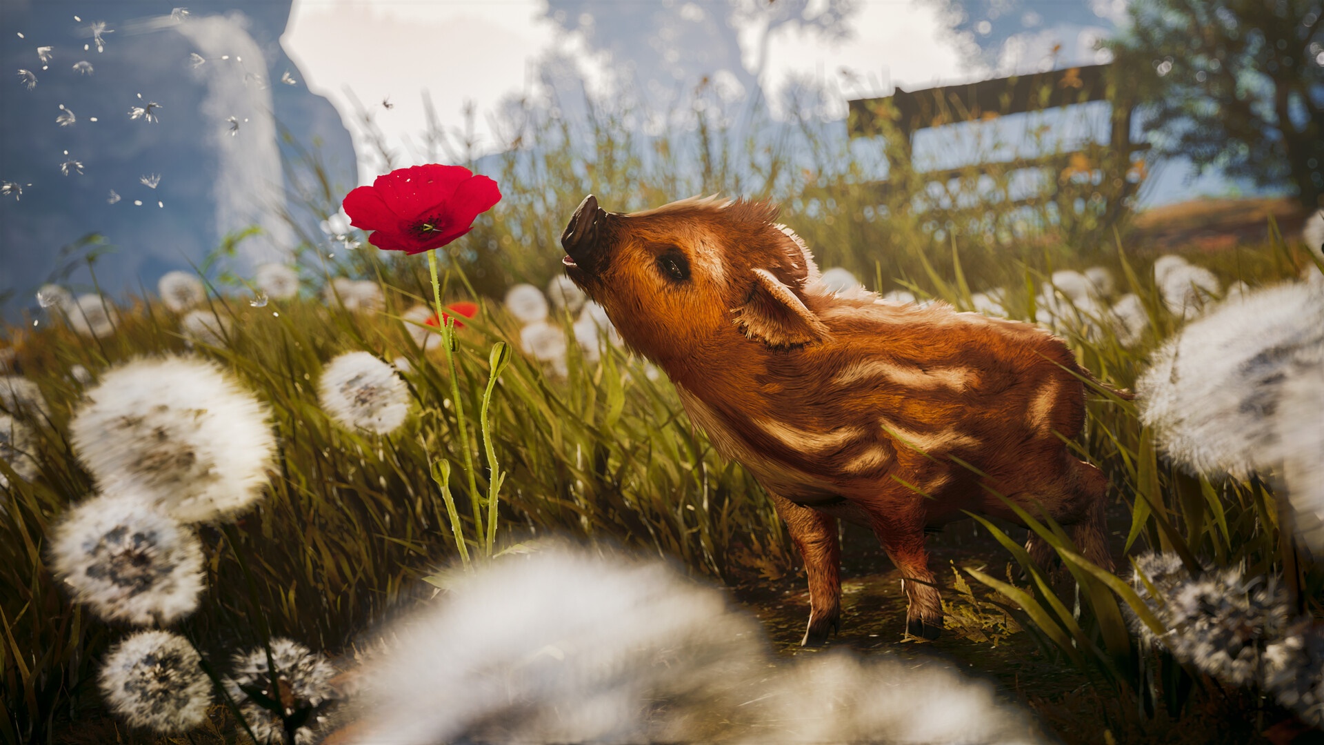 Adorable Adventures schickt euch als Wildschwein-Baby auf ein knuffiges Abenteuer