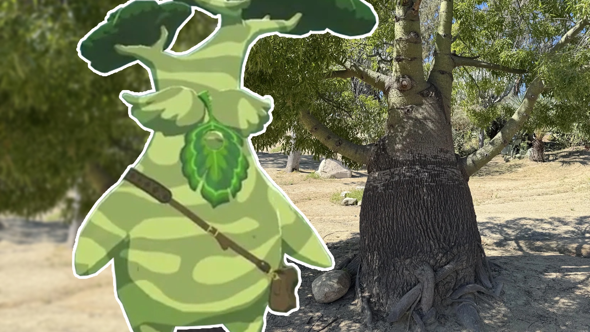 Zelda-Fan entdeckt einen Baum im echten Leben, der dem Krog-Wesen Hestu verblüffend ähnlich sieht