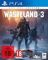 Wasteland 3